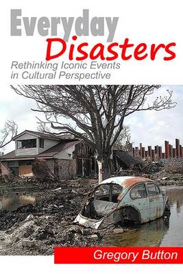 Everyday Disasters