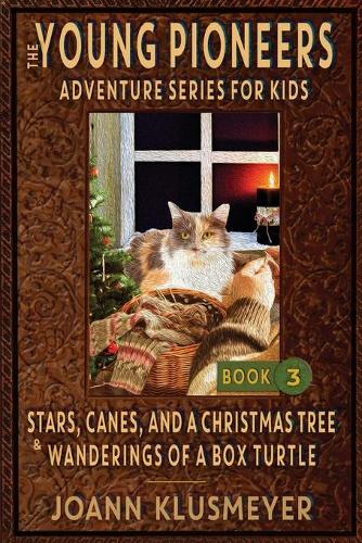 Stars, Canes, and a Christmas Tree & the Wanderings of a Box Turtle