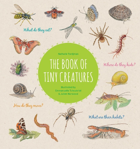 The Book of Tiny Creatures by Nathalie Tordjman
