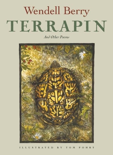 Terrapin
