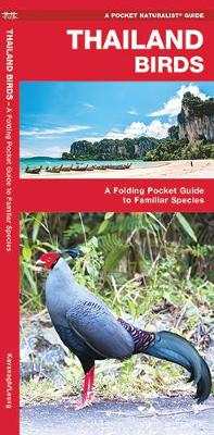 Thailand Birds