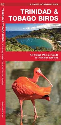 Trinidad & Tobago Birds
