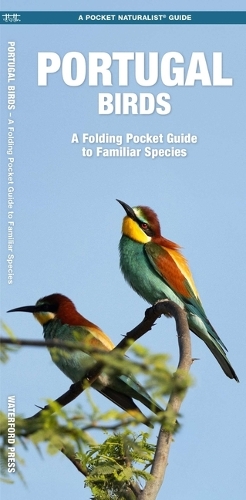 Portugal Birds