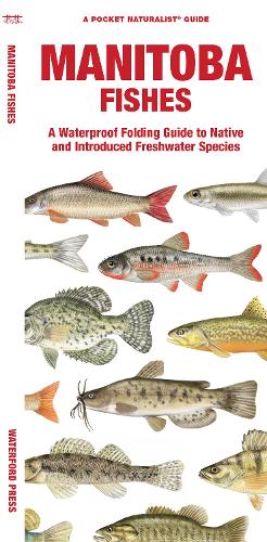 Manitoba Fishes
