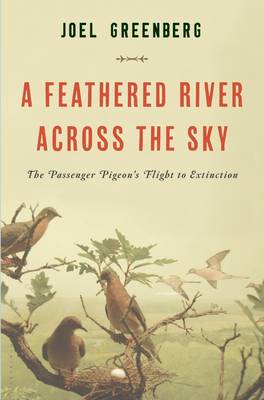 A Feathered River Across the Sky