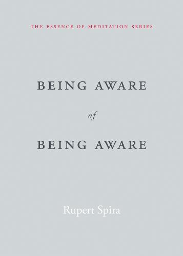 Being Aware of Being Aware