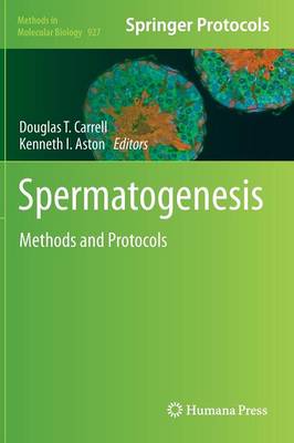 Spermatogenesis