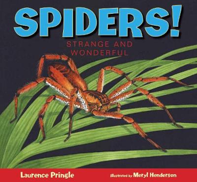 Spiders!