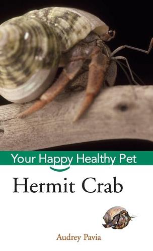 Hermit Crab