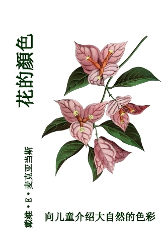 花的顏色