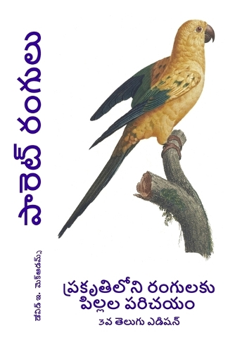 పారెట్ రంగులు
