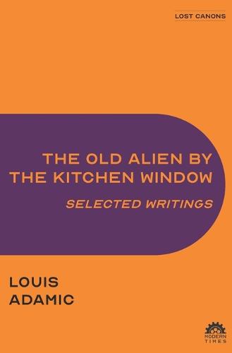 The Old Alien by the Kitchen Window