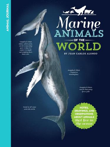 Animal Journal: Marine Animals of the World