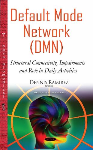 Default Mode Network (DMN)