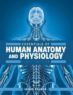 Essentials of Human Anatomy and Physiology