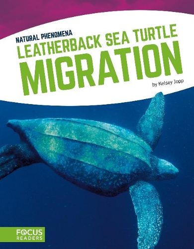 Leatherback Sea Turtle Migration