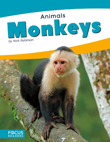 Monkeys
