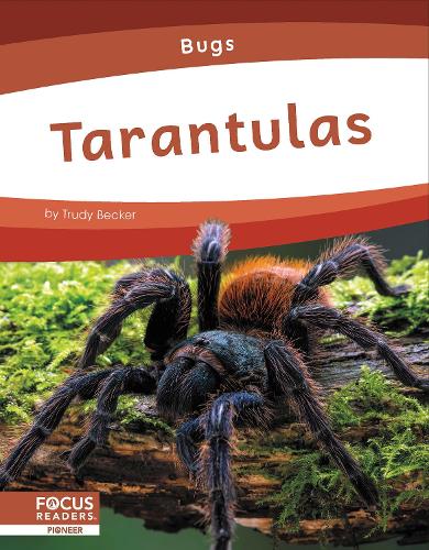 Tarantulas