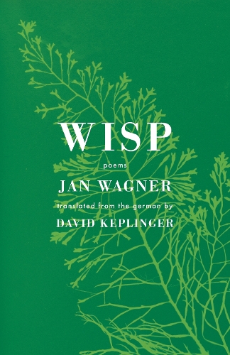Wisp