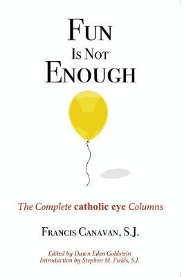 Fun is Not Enough