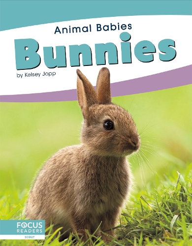 Bunnies