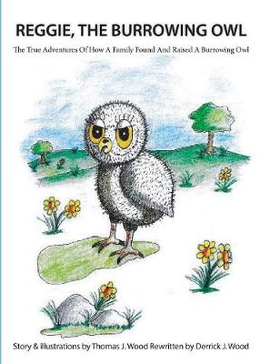 Reggie the Burrowing Owl