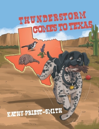 Thunderstorm Comes to Texas