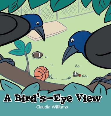 A Bird's-Eye View
