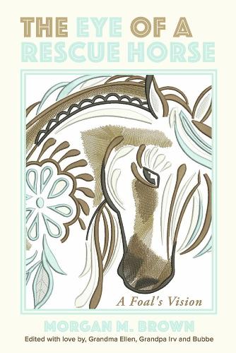 Eye Of A Rescue Horse