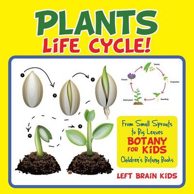 A Plant's Life Cycle! from Small Sprouts to Big Leaves - Botany for Kids - Children's Botany Books