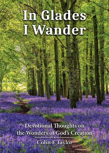 In Glades I Wander