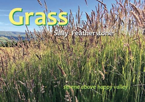 Grass