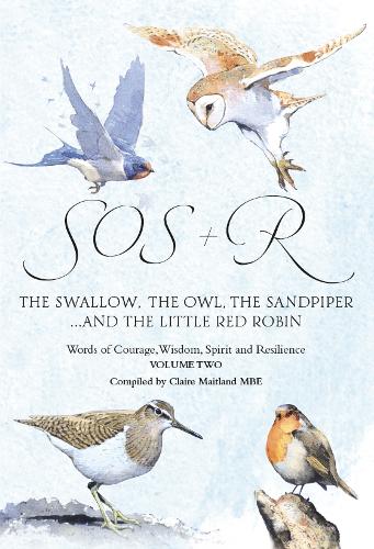 SOSR - The Swallow, the Owl, the Sandpiper and the Little Red Robin