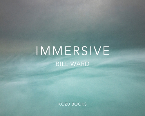 IMMERSIVE By Bill Ward