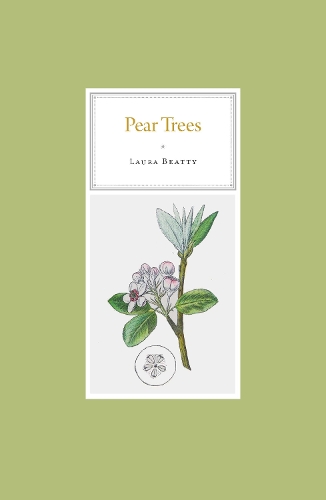 Pear Trees