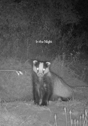 In the Night