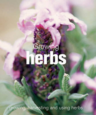 Growing Herbs