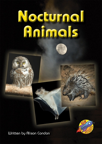Nocturnal Animals