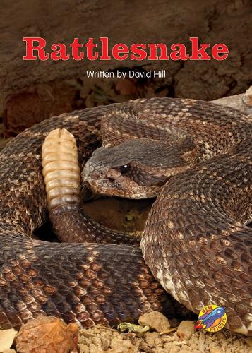 Rattlesnake