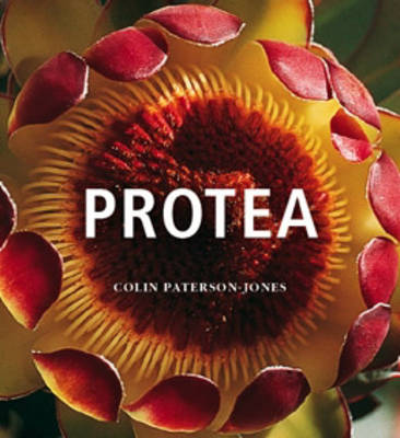 Protea