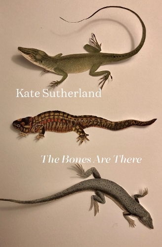The Bones Are There