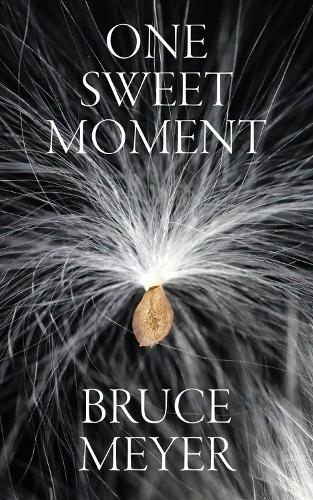 One Sweet Moment