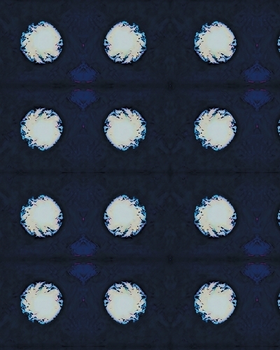 The White Dots Notebook