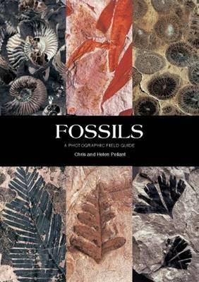 Fossils