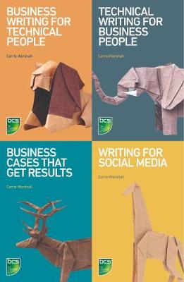 Writing in IT bundle - digital version