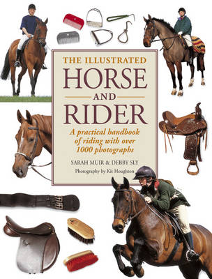 Illustrated Horse and Rider