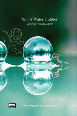 Smart Water Utilities