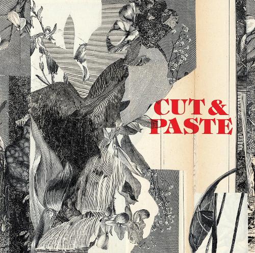 Cut & Paste (paperback)