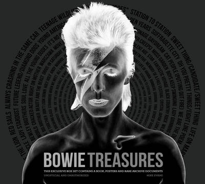 David Bowie Treasures