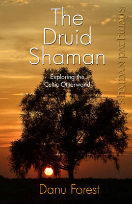 Shaman Pathways - the Druid Shaman